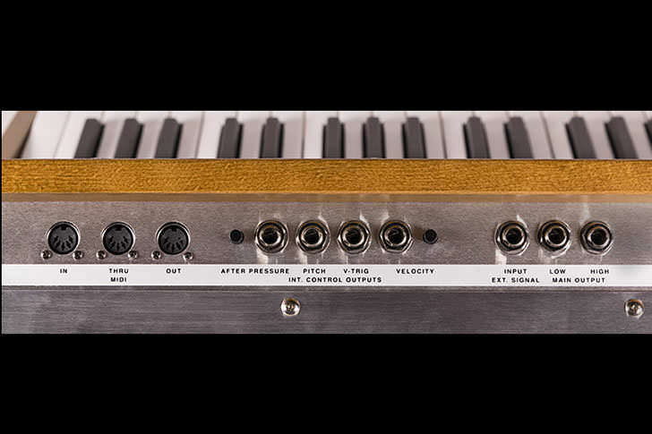 Moog Music - Minimoog Model D