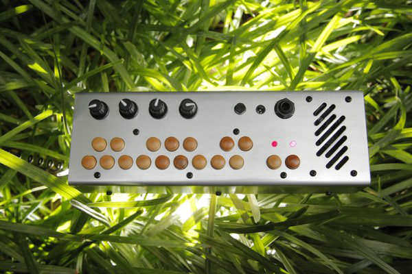 Critter_and_Guitari_4